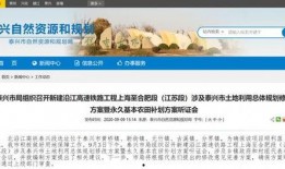 泰州最新爆料消息,揭秘城市新动态与重大事件