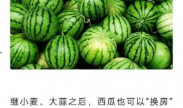 免费吃瓜网,揭秘娱乐圈幕后故事，带你畅游娱乐八卦海洋